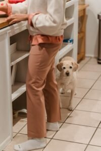 Dog Following Owner to the Kirchen