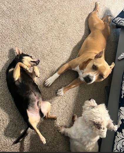 Michelle with her dogs Kody and Sugar